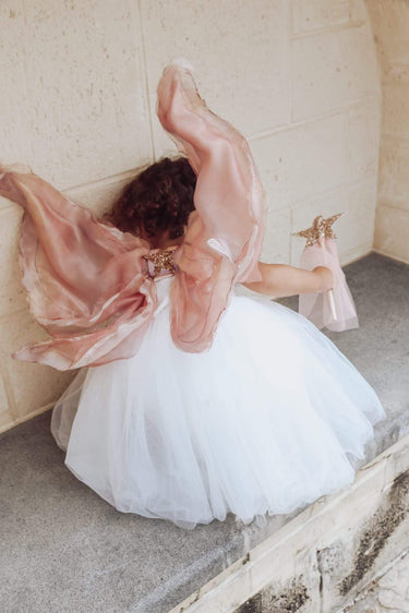 Ombre Fairy Wings, Crown & Wand